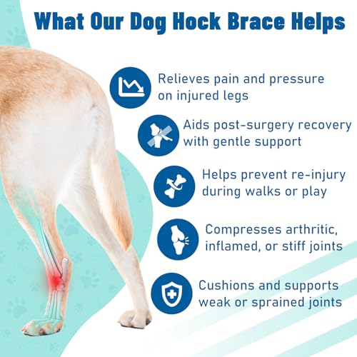 Image of Dog Leg Braces for Back Leg- Hock and Ankle Joint Support Brace for Rear Legs with 2 Metal Strips, Reflective Edging for Sprain, Injury, Arthritis, Wound Recovery,Blue,S