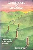 Guideposts to Meaning: Discovering What Really Matters