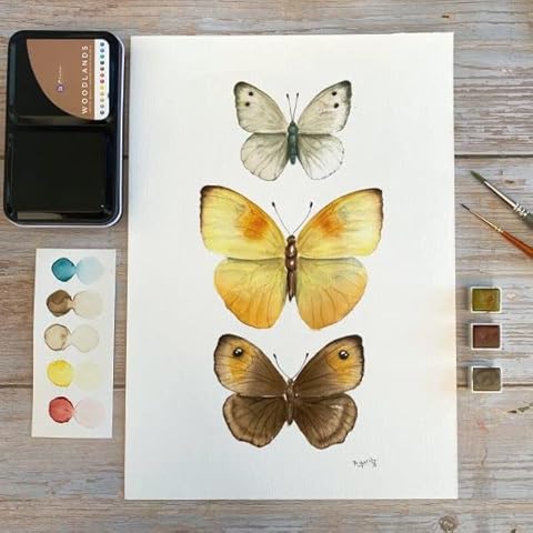 Art Philosophy Butterfly Illustration And Basic Techniques Kit 655350664725 Cover