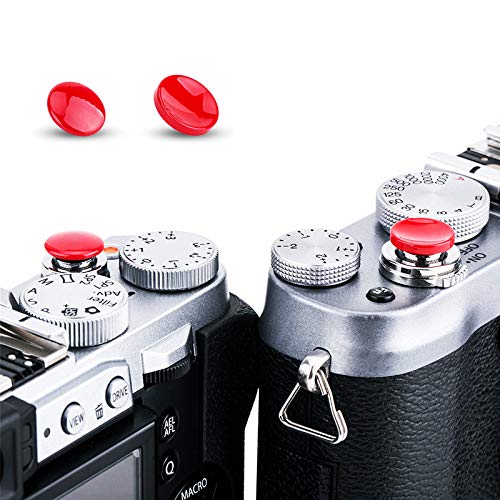 OLYMPUS OM-1 シャッターおります。 OLYMPUS OM-1 シャッターおります。 OLYMPUS OM-1 シャッター