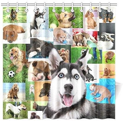 Amazon かわいい犬のコラージュ 面白いペットハスキーシャワーカーテンのバスルームの装飾セットフック 防水ポリエステルカーテン 180x180 Cm シャワーカーテン ホーム キッチン オンライン通販