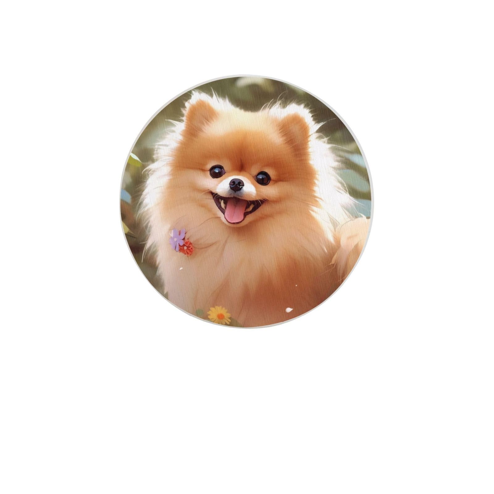 Pomeranian Dog Absorbent Drink Coasters Diatomaceous Round Coaster 4 Inch Reusable Cup Coasters Set 4pc