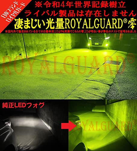 51NnGFSmbFL.jpg