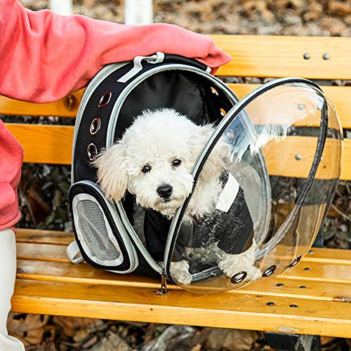 BEIKOTT Back Expandable Cat Backpack, Pet Dog Backpack Carrier for Small Cats Dogs and Birds, Transparent Space Capsule… - Image 7