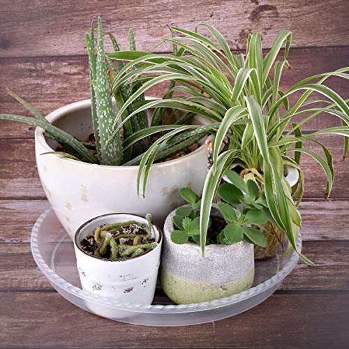 Grespri 6 Packs Clear Plant Saucers 14 Inches Heavy-Duty Plastic Plant Trays, Durable Plastic Flower Plant Pot Saucer For Indoor Outdoor Plants. (12.5 Inch Base) #TOP6