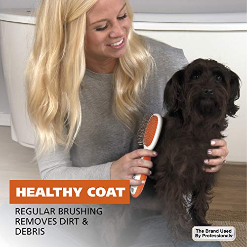 Image of Wahl Premium Pet Double Sided Medium Pin Bristle Brush, Ergonomic Brush with Ergonomic Rubber Grips for Comfortable Brushing and Finishing Coats of Dogs and Cats - Model 858413