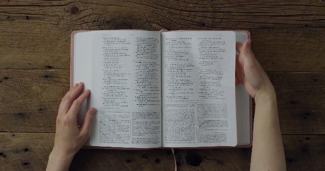 Image of ESV Women's Study Bible (TruTone, Pink, Floral Bloom Design): Holy Bible, English Standard Version - Christian Gifts for Women