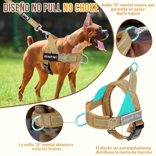 Pecheras para perros 11 Imagen adicional