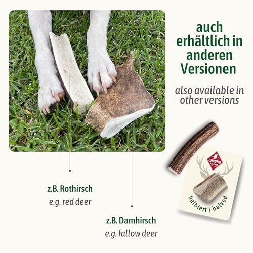 ChronoBalance® XL - Hirschgeweih für Hunde – 1er Set Halbierte Kauspielzeuge, 100% Natürliches Kauknochen Hundespielzeug zur Zahnpflege, Nachhaltige Hunde Kauartikel ohne Chemie