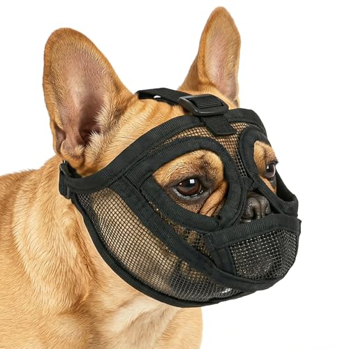 AUAUY Museruola per Cane, Museruola Resistente per Cani, Mascherina in Rete Traspirante, Prevenire i Morsi alla Corteccia, Museruolas per Shih Tzu e Bulldog inglesi, Acqua e Cibo Consentiti (Nero, S)