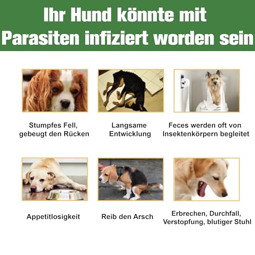 Advanllent Zeckenschutz für Hunde 6 Pipetten, Spot On Hund, Zeckenmittel für Mittlerer Hunde 10 bis 20 kg, Hunde flohmittel entwurmungsmittel für Hunde, gegen Flöhe & Zecken