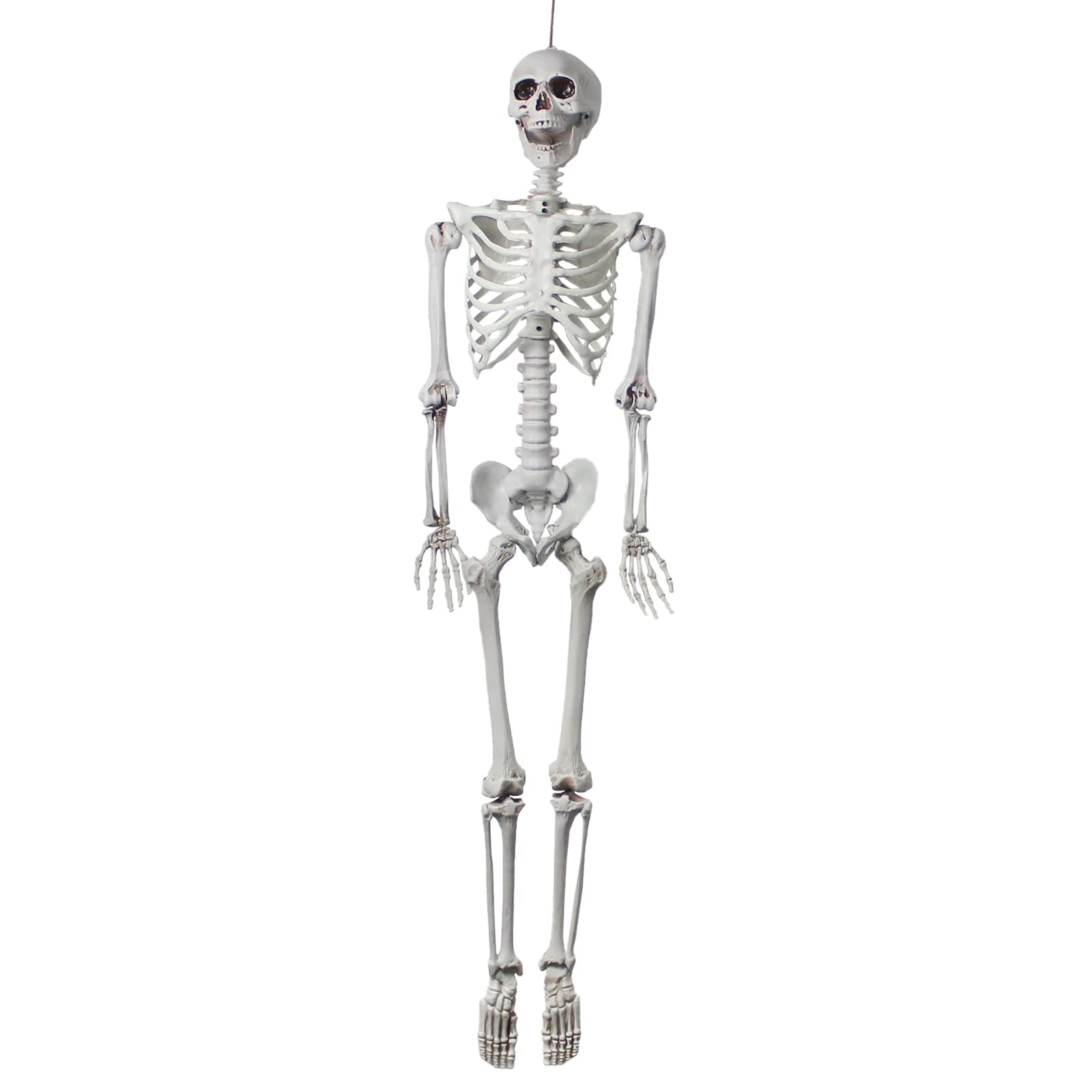 Buy Hitish 5.6ft Halloween Life Size Skeleton, Realistic Full Body