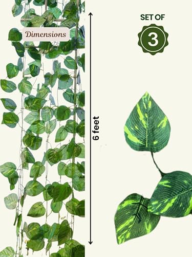 Image of Bombay Greens Artificial Money Plant Vine | Realistic Money Plant Creeper for Wall Hanging, Door, Balcony & Home Office Decor | Artificial Green Hanging Vines for Decoration & Festival - Set of 3