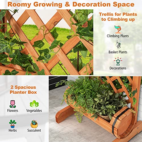Safstar Raised Garden Bed With Trellis, Outdoor Wood Garden Planter W/ 2-Tier Round Planter Box & Trellis For Vine Climbing Plants Growing, Vertical Plant Container For Garden Patio Balcony, Orange #TOP3