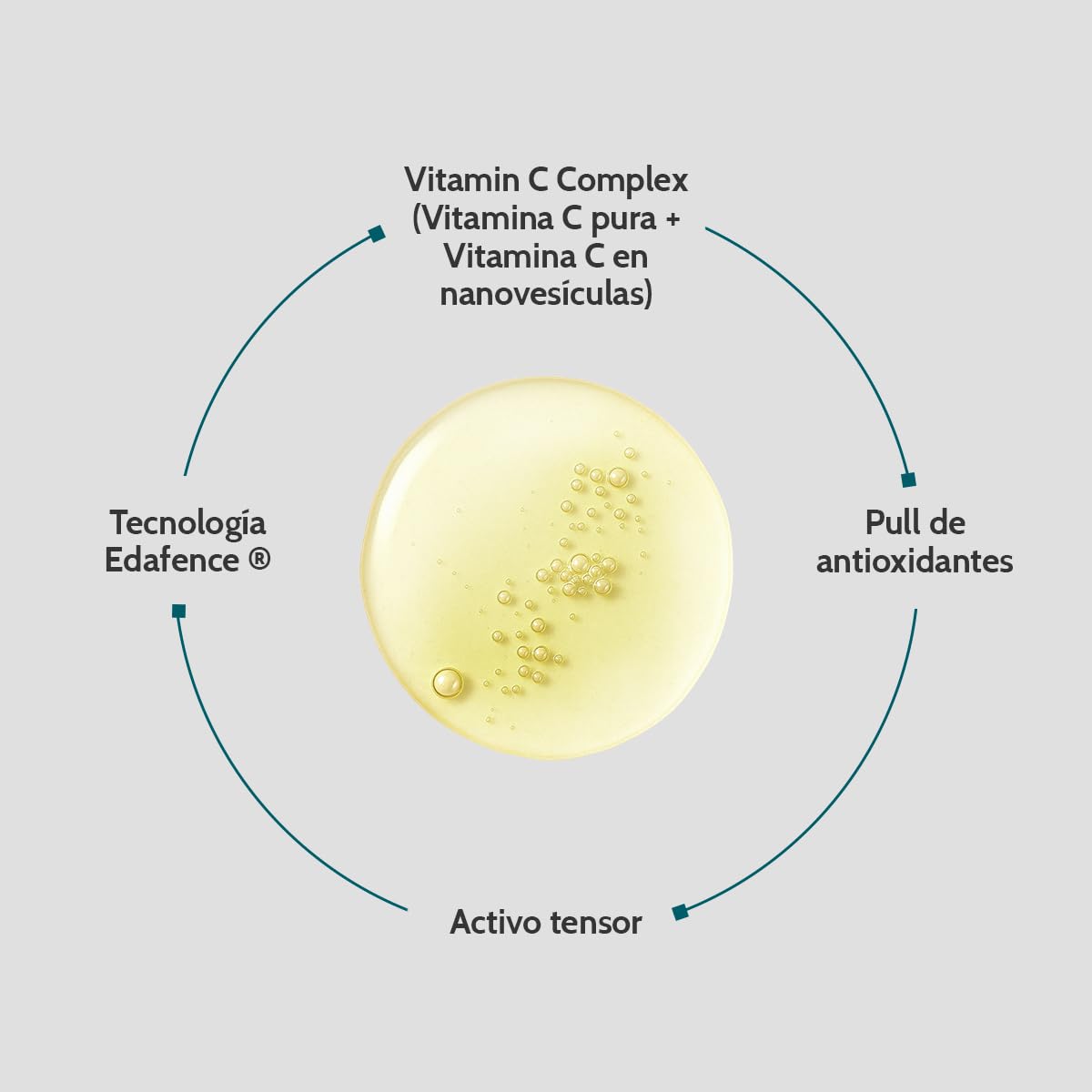 Cantabria Labs – Endocare Radiance Vitamin C20 Serum – 30 ml – Sérum Antioxidante con Vitamina C Pura – Reduce los Signos del Fotoenvejecimiento - 4