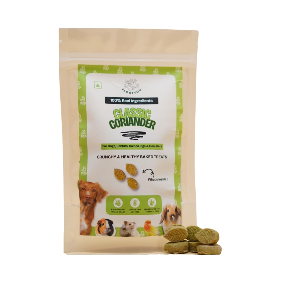 - Coriander Cookies Pure Veg Small bite-Sized Natural Healthy Treat for Rabbit, Guinea-Pig, Hamster, Bird and Small Animals,1 Count