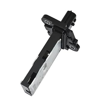 まる子 s-l1200.jpg