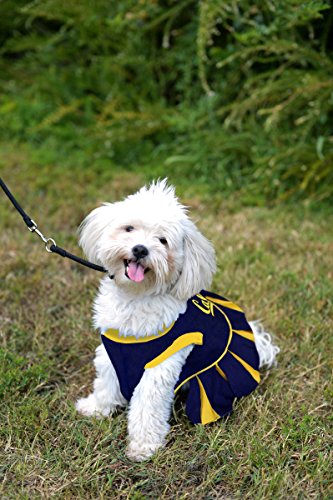 NCAA-California-Golden-Bears-Berkeley-Dog-Cheerleader-Outfit-X-Small