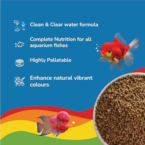 Image of Growel Rainbow, Mini Floating Fish Food Pellets 50g | 1.8mm Pellet Size | Highly Digestible & Nutritious Fish Feed for All Aquarium Fish