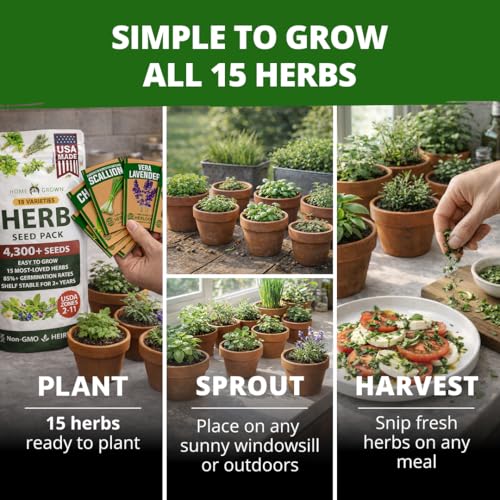 Image of HOME GROWN Herb Seeds for Planting 15-Pack Massive Seed Count 4,300+ Seeds Non-GMO Heirloom | Extra Large | Culinary Herb Kit, Indoor Outdoor & Hydroponic | Grow Your Own Herbs | Gardening Gift