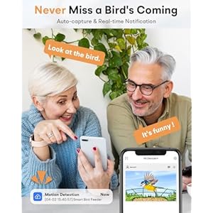 Bird Feeder with Camera - Solar Powered, 2.1L Smart Bird Feeder with AI Identify, Bird Arrival Notifications & Auto Recording, Sturdy Metal for Outdoor Weather, Gift for Bird Lover Bird Feeder with Camera Solar Powered 21L Smart Bird Feeder with AI Identify Bird Arrival Notifications Auto Recording Sturdy Metal for Outdoor Weather Gift for Bird Lover