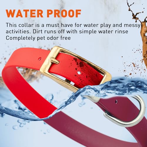 Image of Viper Biothane Heavy Duty Waterproof Dog Collar Strong Coated Nylon Webbing w /Solid Brass Hardware Odor-Proof Easy to Clean High Performance Fits Small Medium or Large Dogs, Cherry Red
