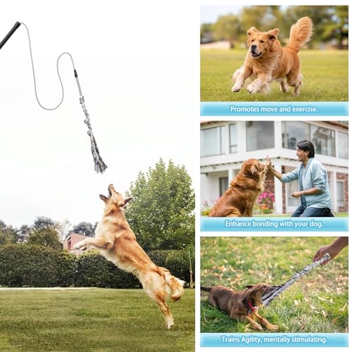 Flirt Pole Für Welpen Hunde,Interaktive Jagd und Zerrspielzeug Im Freien Hundespielzeug,Reizangel Chase Spielzeug mit Seil,Ianglebig Stick Pole für Hunde im Freien Agilität Übung & Hundetraining