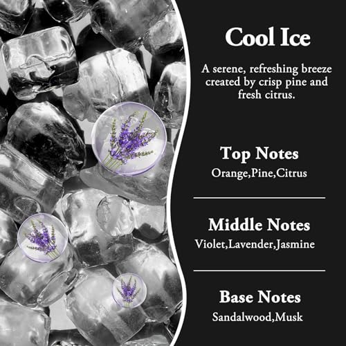 Image of RoyAroma Hanging Car Air Fresheners, 2 Pack Long Lasting Automotive air fresheners up to 30-45 Days, Non Toxic Natural Fragrance Car Diffuser Freshener for Cars,Home,Office- Cool Ice