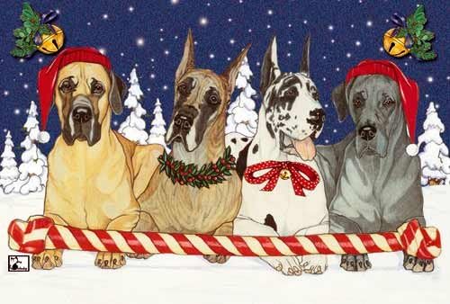 Great Dane Christmas Cards : 10 Holiday Cards with Envelopes - Adorable!