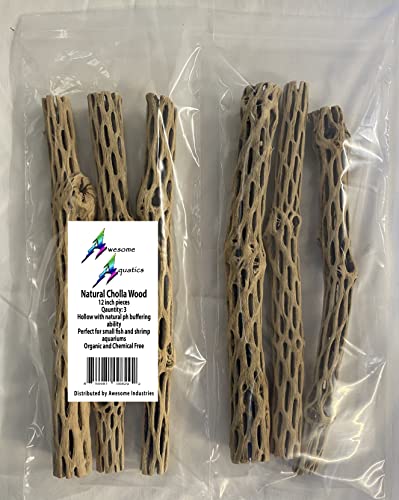 Image of Awesome Aquatic Natural Cholla /Choya Wood 3 Pieces 12 inch for Shrimp Habitat and Food Treat Hermit Crabs Plecos Aquarium Decoration Lowers pH Hideouts and Chew Toys Reptiles Thorn Free Dried Organic | Natural biofilm surface • Secure hiding spots • Shrimp, plecos, hermit crabs reptiles • Aquarium & terrarium • Natural decor