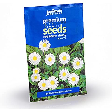 Jamieson Brothers Daisy Meadow Flower Seeds Cover