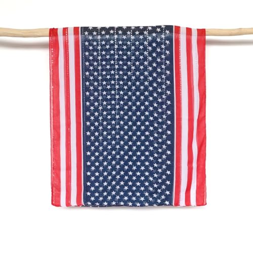 American Flag Scarf for Women Flag Scarf Long Neck Scarf Shawl Wrap PSWJ032