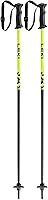 LEKI Kids Rider Lightweight Aluminum Ski Poles - Durable All-Mountain Poles for Young Downhill Skiers (80-105cm)