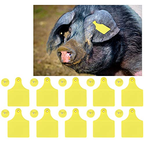 Livestock Ear Tags, 20 Set Animal Identification Blank Ear Tags Yellow Cattle Ear Tags Farm Animal Tags Plastic for Cow Cattle Sheep Goats Pigs (Large)