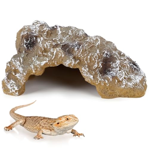 CHASO ঒ރVF^[ B  gJQ  Ip JG wr T roE L