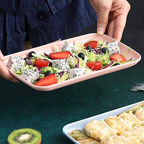 Roucerlin 4 Colors Big Rectangular Dinner Plates, Unbreakable Wheat Straw Plates, Reusable Durable Lightweight Salad Plate For Fruits, Snack, Pasta, Cake, Dessert, Dishes (9.3In) #TOP3