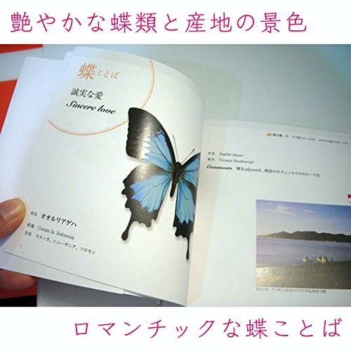 幸せを運ぶ 世界の蝶と蝶ことば 本 通販 Amazon