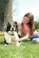 Algopix Similar Product 10 - PetSafe Deluxe Bark Control Collar