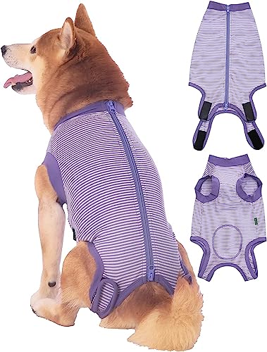 Traje de recuperación para perro talla XS morado a rayas miniatura 6