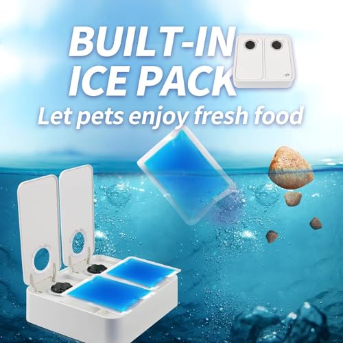ALL FOR PAWS Automatischer Katzenfutterspender 2 Mahlzeit Hundefutterspender mit Eisbeutel, Für Trocken- und Nassfutter geeignet mit 48-Stunden-Timer, Spülmaschinenfest, (2-Mahlzeiten)