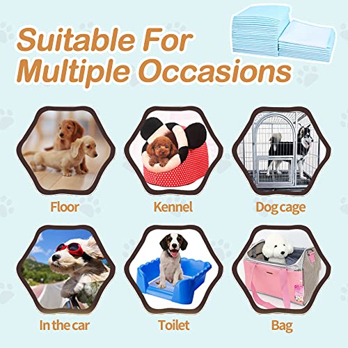 Image of Dog and Puppy Pee Pads with Leak-Proof Quick-Dry Design for Potty Training, Standard Absorbency, Regular Size, 17.7 inch x 23.6 inch Inches - Pack of 5 Suitable for Small and Medium Breeds