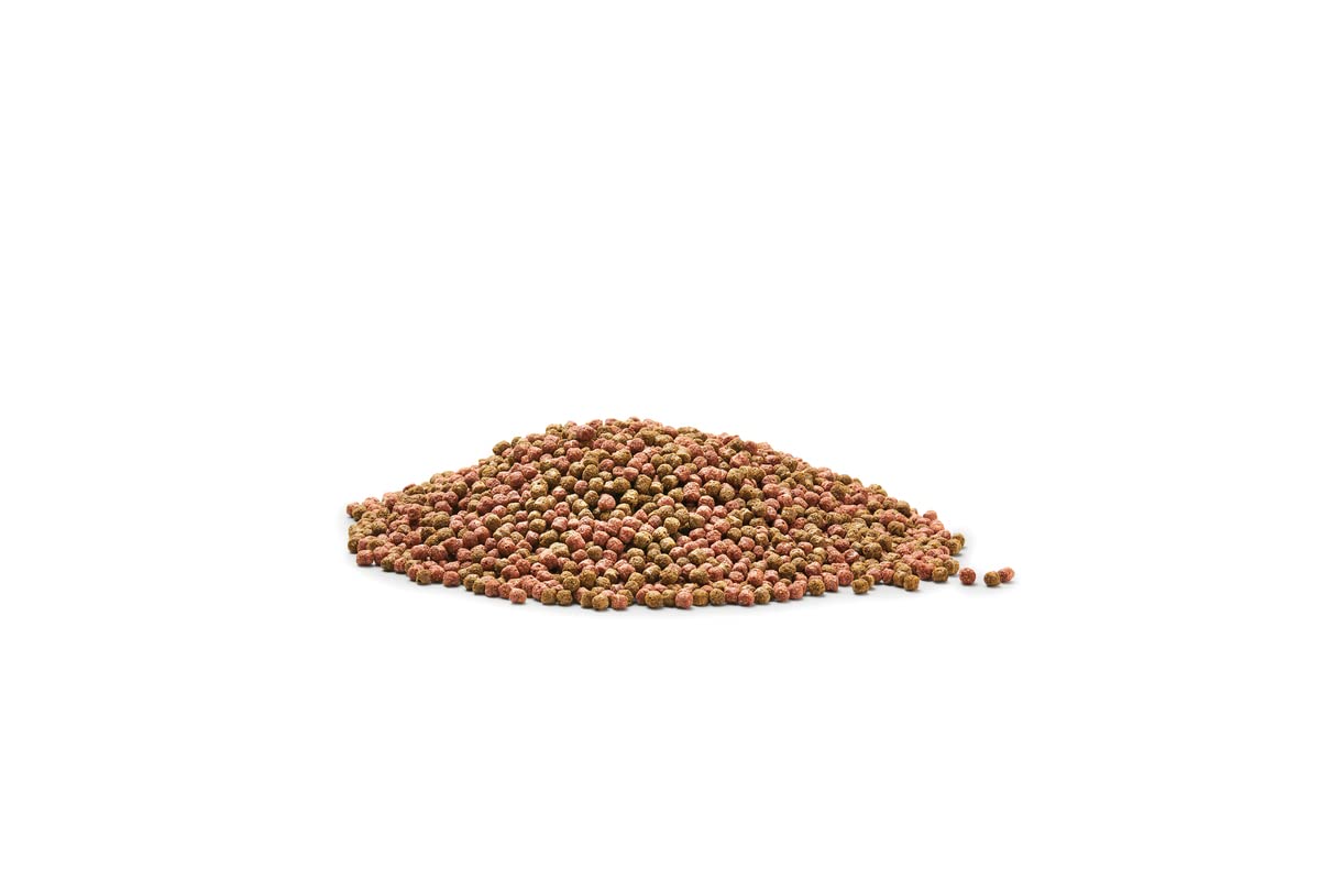 Dynamix Koi Pellet mały 4 l