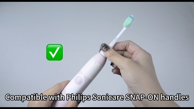 Amazon.co.jp: Senyum 電動歯ブラシ 替えブラシ フィリップス