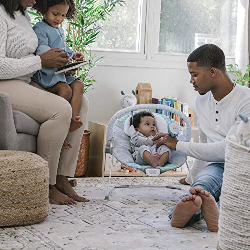 Bouncity Bounce Vibrating Deluxe Baby Bouncer - Goji #TOP2