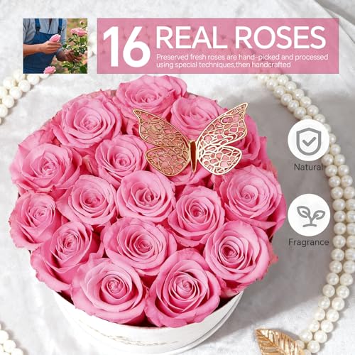 16 Preserved Roses in a Box, Preserved Flowers Gifts for Women, Forever Flowers for Delivery, Flower Birthday Gifts Box for Her, Mothers Day Rose Gifts for Mom, Sweet Pink - Image 4