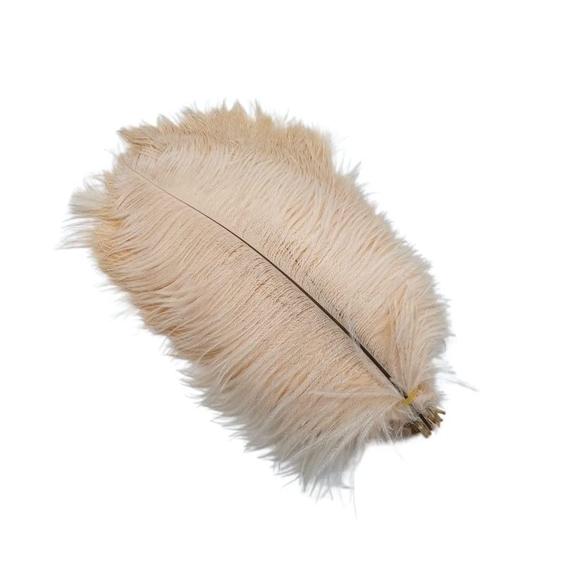 Plume d'autruche douce 25-30cm champagne pour déco de table mariage bohème