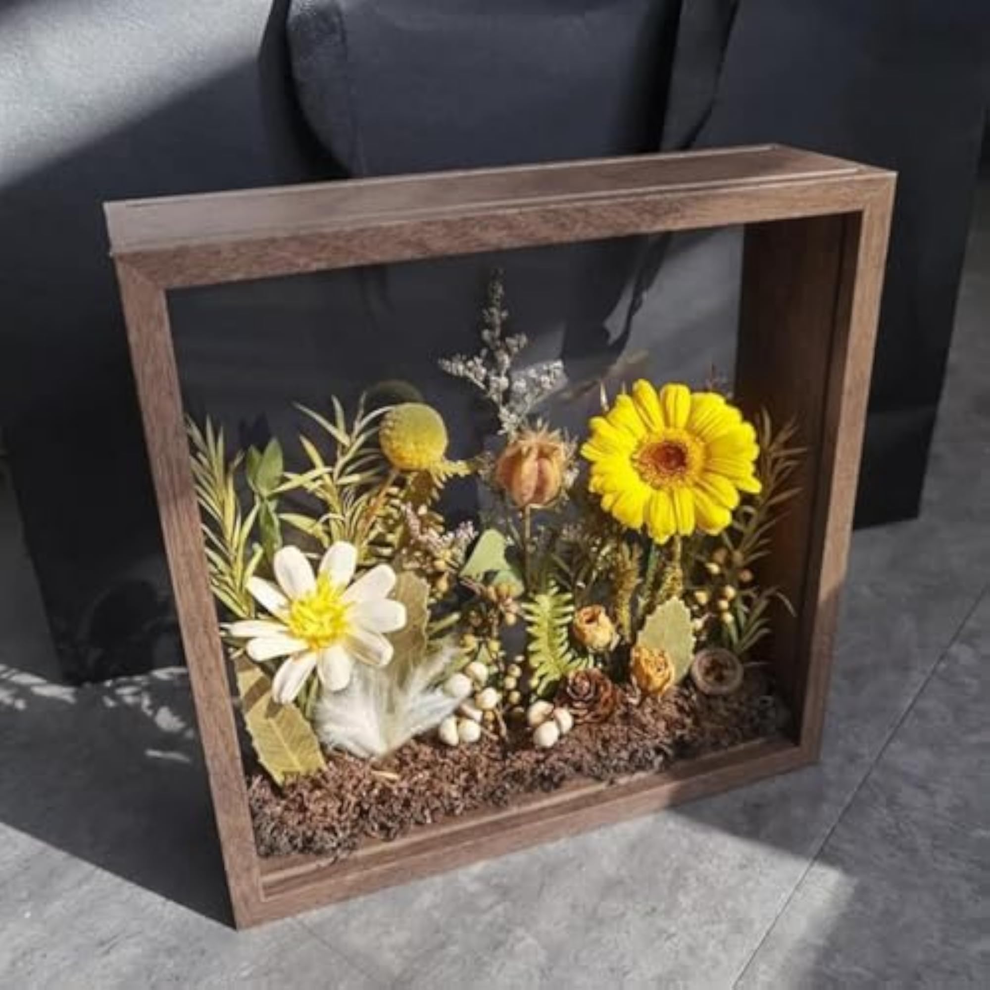 Dried Flower Display Case Shadow Box Frame