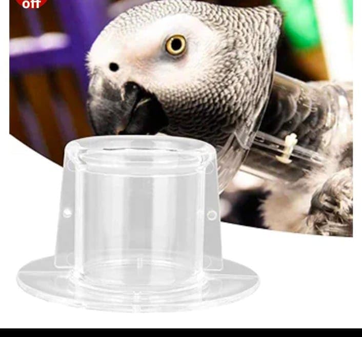 Parrot Collar, Bird Recovery Collar Bird Elizabethan Collar Recovery Wound Healing Protective Neck Cover Anti-Bite Neck Collar (M Outer Diameter 7.2 Inner Diameter 3.5) Gray Parrot ; Amazon;-image-35