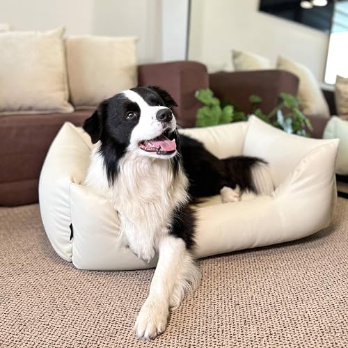 4L Textil Mario Hundebett Kunstleder Hundekorb aus Kunstleder Wasserfestes Hundebett mittelgroße Hunde Hundesofa Lederoptik (100x70 cm, Beige)