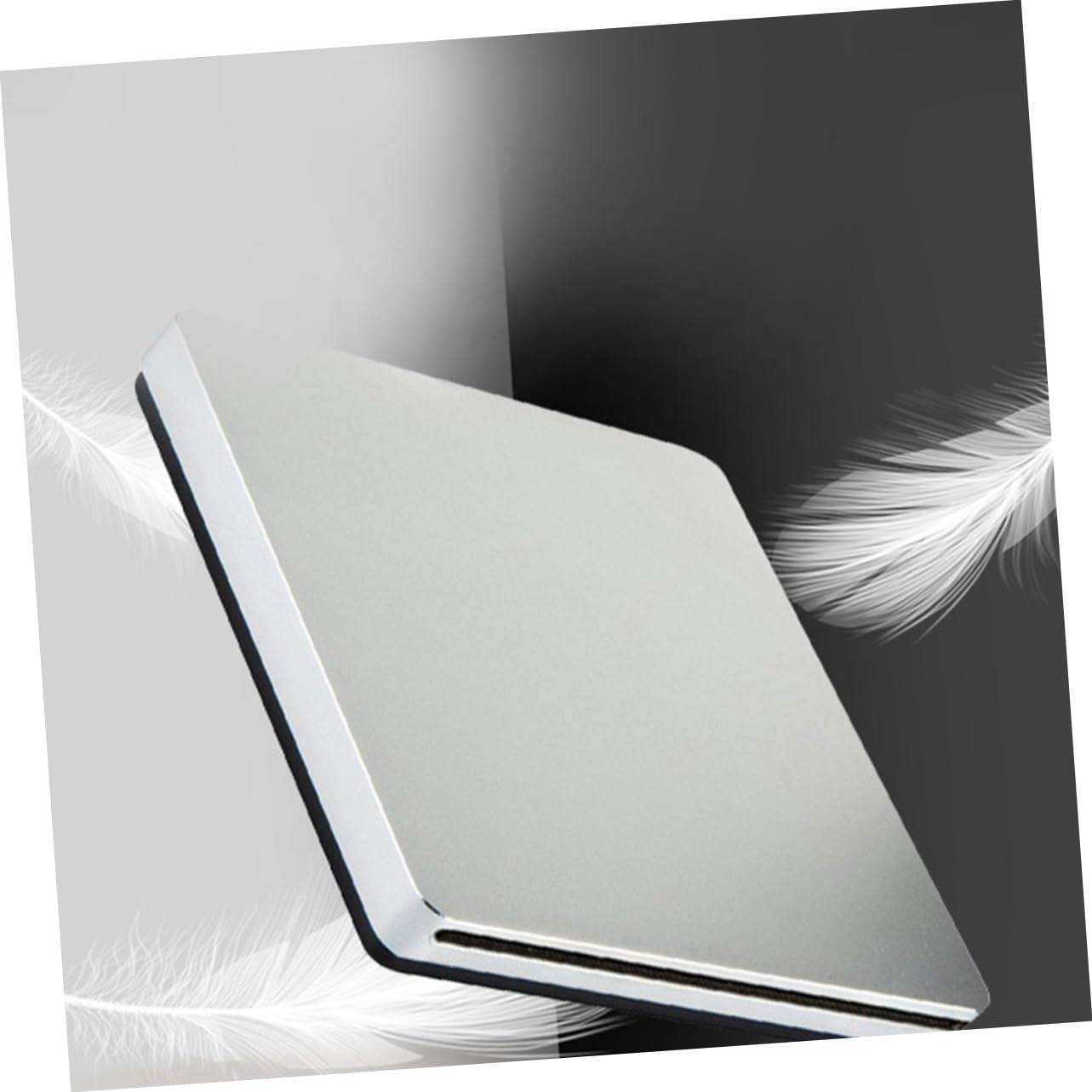 HOMSFOU 1set Dual External DVD Burner Type DVD Ultra Thin Design for Use Fast Transmission Speed Lightweight and Portable Silver